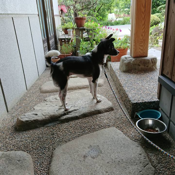 E060b71b e077 47b1 8cf5 8660b23d5fef