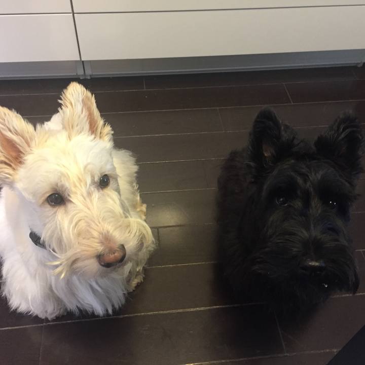 E060da8d 8e35 4b7b a884 37d90382807e