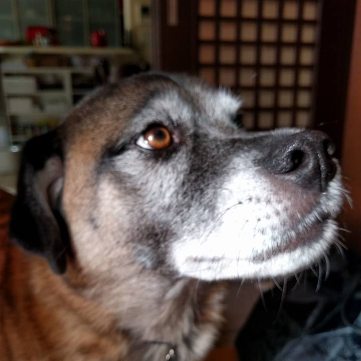 E0613487 e6a9 4129 9c08 c26daed6c9a8