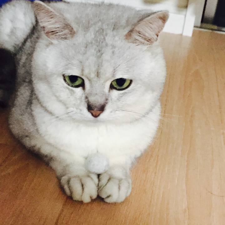 E0618b1a fb07 4e6f b55e 6bc46fbf2816