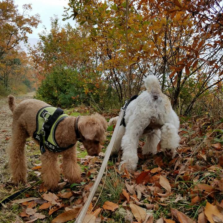 E061d6e9 d3d1 4b44 83b0 2176038589f0