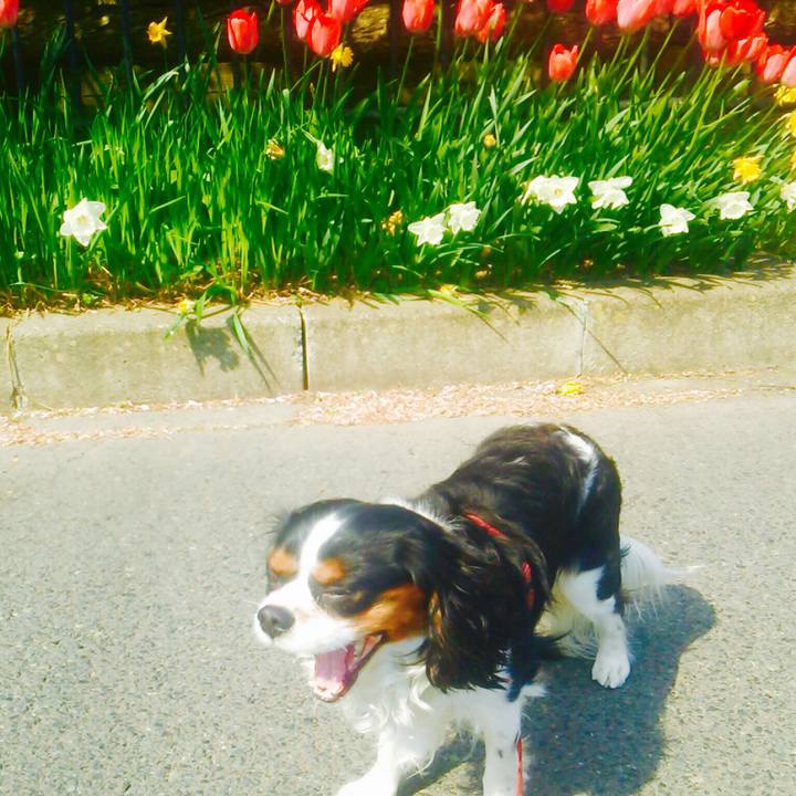 E062c02c 4a1c 4f50 9c5e 641def4f2c75