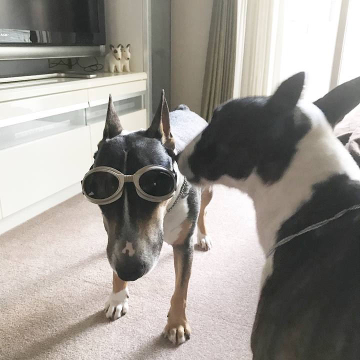 E0643fad 7945 4400 9f0b 5d2763c0fbb9