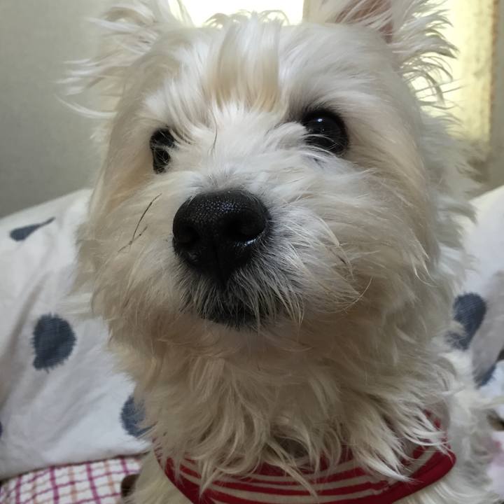 E0646e83 f54c 4d44 92f1 78facbe79258