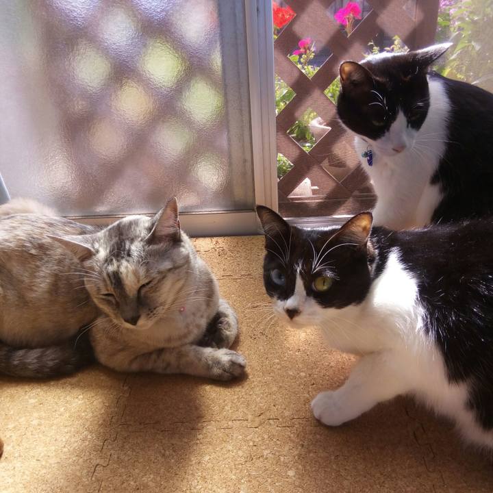 E064a31f 00c9 42cc bfef 90f590e7fb9e