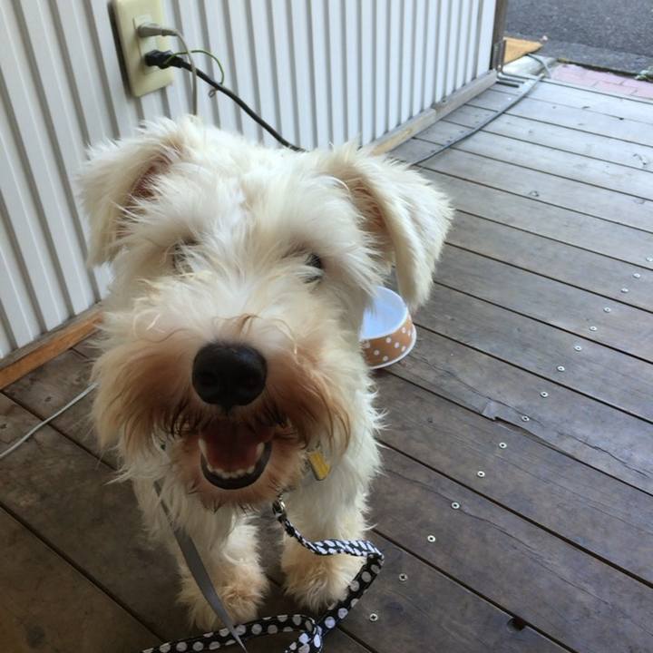 E064f7af 2571 425f 92e3 974857a90c8f