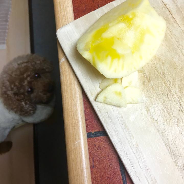 E0651348 a34e 4d09 9f00 eed29c2a930b