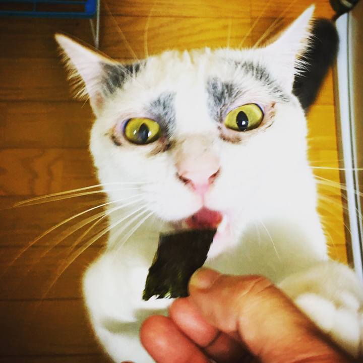 E0653eb0 e862 4144 80ae 98cd23578cf5