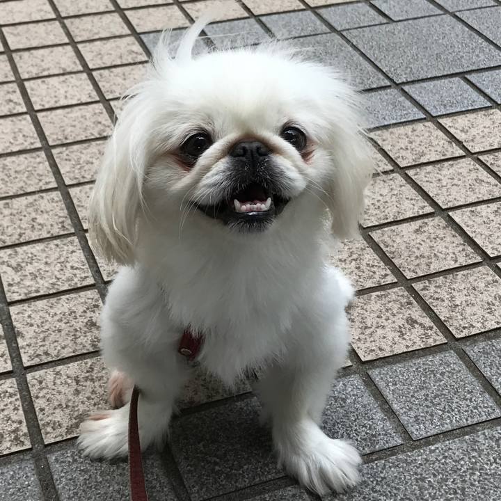 E06573c2 7130 4971 bacd 6545e21b34e9