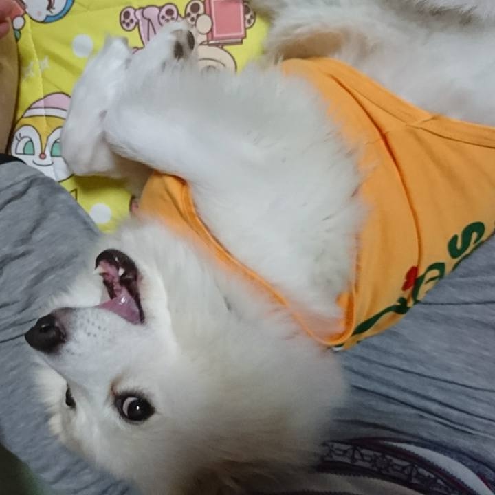 E0661d1f 23e8 45ad 93f8 ee9ebe3169b3