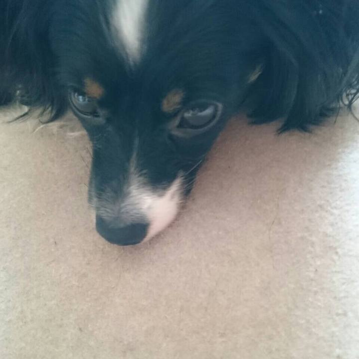 E0661fe7 5d82 47b0 8daa 6de037bee147