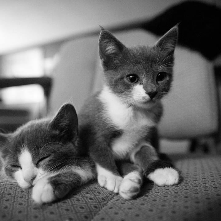 E066758e ea41 4808 9fc7 e3eed847d041