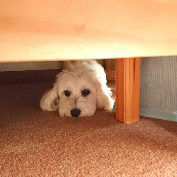 E066d9f8 8457 4056 b4fa 0704f4ede4d0