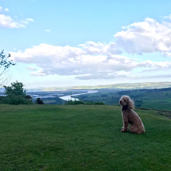 E0670698 c9c6 4341 b6d5 bcdbb2549205