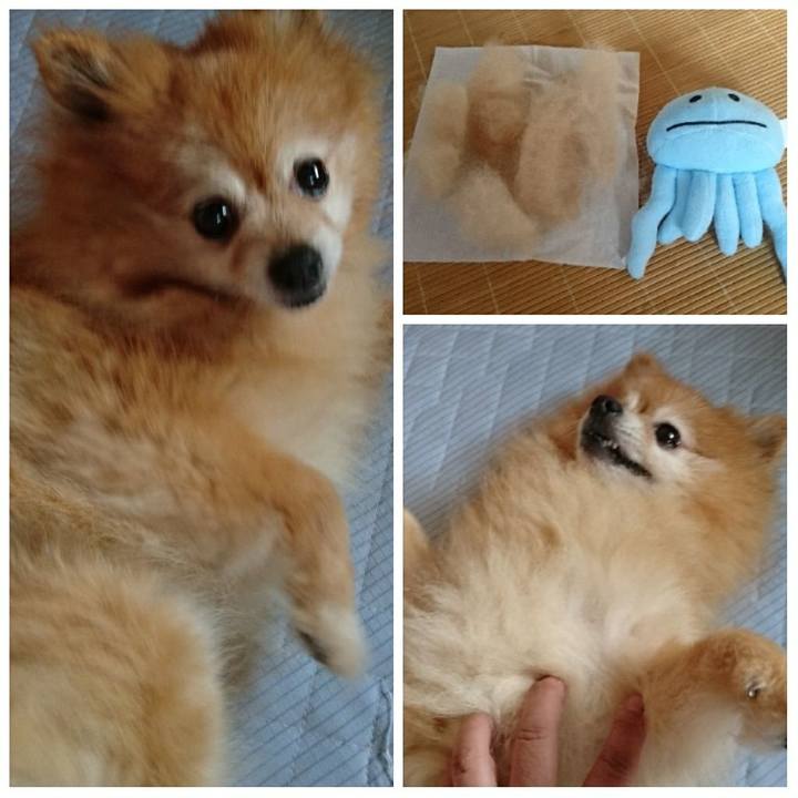 E06721bc ddfd 4e00 b126 67b8d6963f01