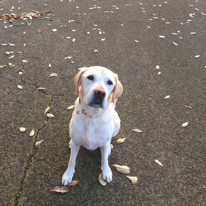 E0677f3f 8937 4ec0 b152 f57999d4664f