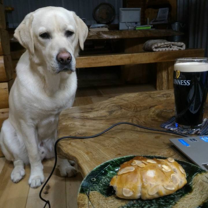 E067e689 cfd8 43b9 8f37 da38f5704fd3