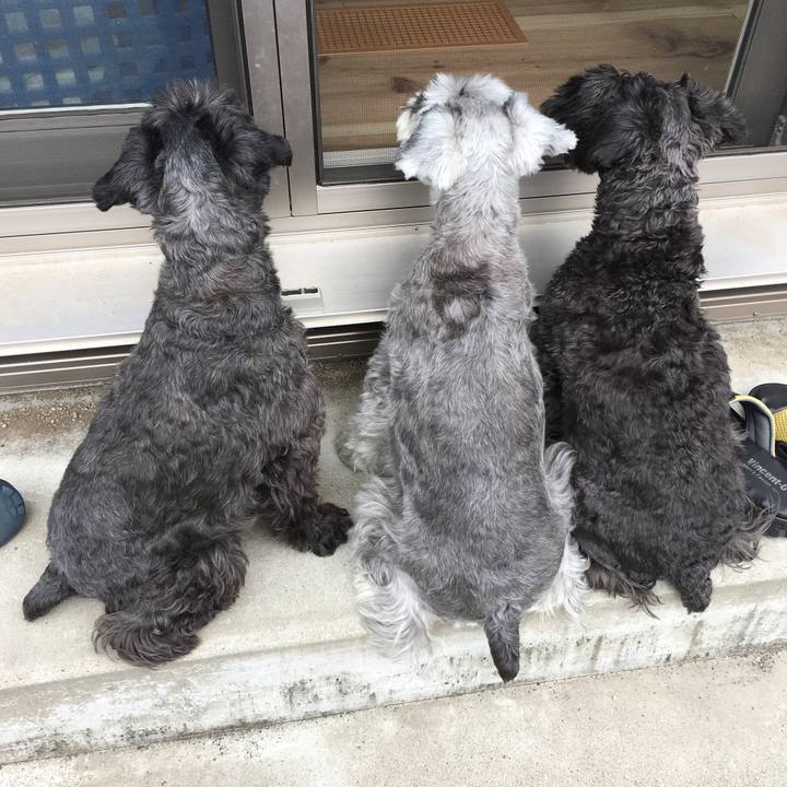 E0680934 a08f 4e13 8ba6 51497c7c4870