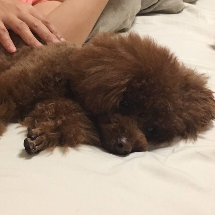 E0686c31 2b02 4e49 a794 ec0a204f41de