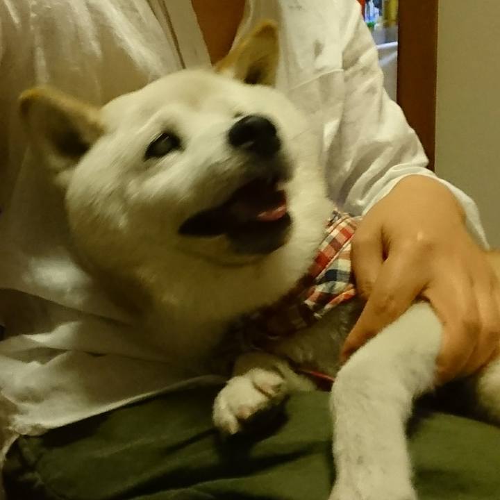 E0687acc a78f 4b49 a831 0737a961a407