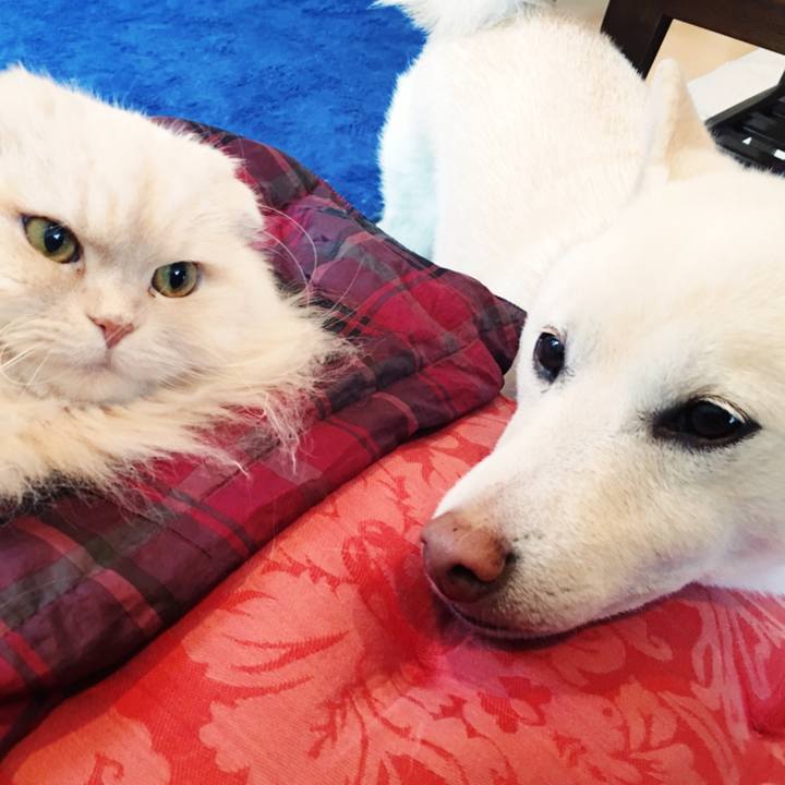 E06899b1 2416 4c8d 92a7 4fe66456a017