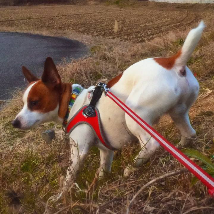 E068cc2c 312a 4476 b2b5 758d3d581cfe