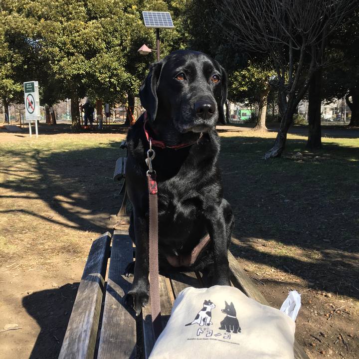 E0696147 ce36 41dd b745 54a8993039d6