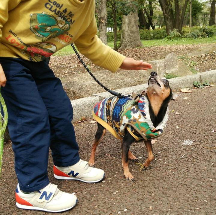 E0698add 60e2 44ec 84dc 1d63208b3286