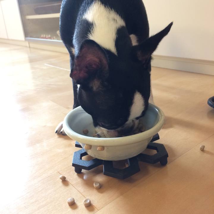 E069c1e4 003b 4947 8277 2b3e593220d6