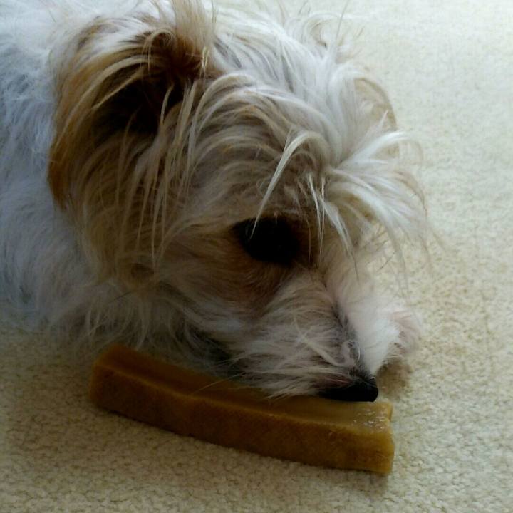 E069d2d8 3f9b 4ba2 bda4 7bba8afbe431