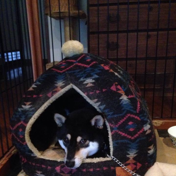 E06a45df 6cf7 4d6c a939 a4da729d5c95