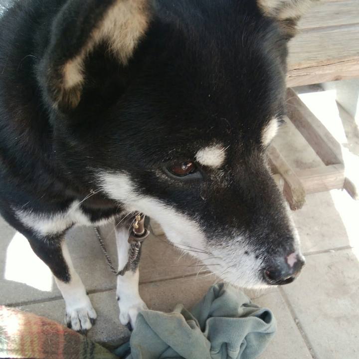 E06a4c0d 27d1 4ebc 9815 22c2bede9385