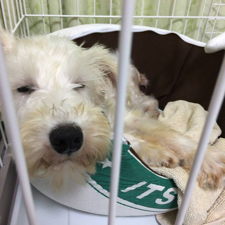 E06a6f22 793d 4174 89b6 e131d29a4034