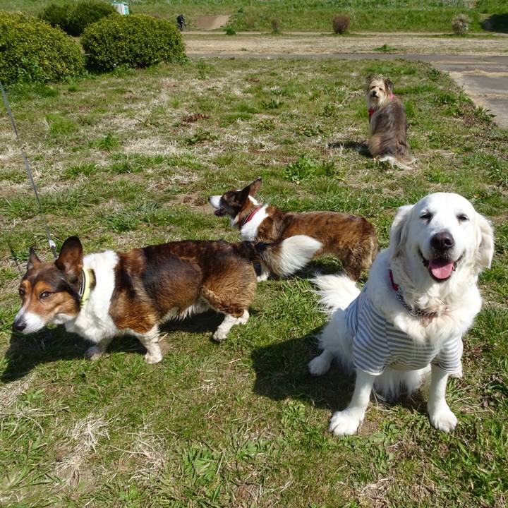 E06acae9 1cbb 44b5 bafe 02b08867a396