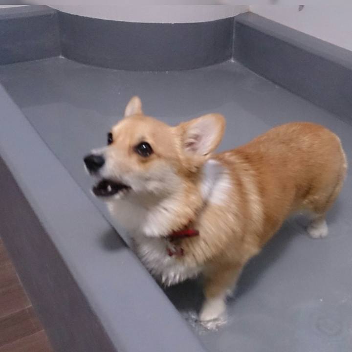 E06c2236 52a9 4ed2 8619 390a33b8962b