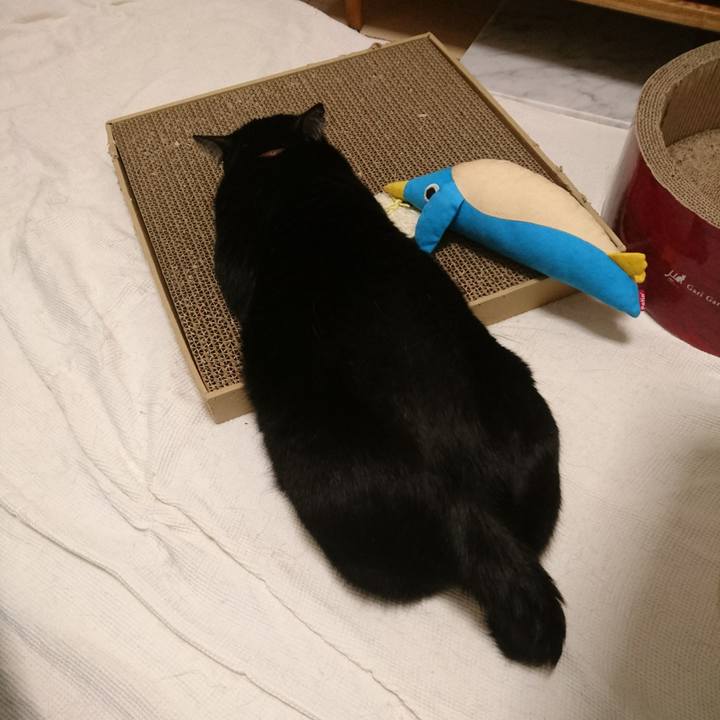 E06c23ca c373 4423 9b6e 7dc60f5ee3f9