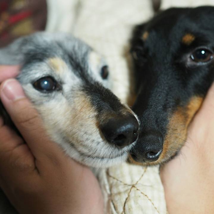 E06c2e5c 2128 4837 86d6 af5a1354a8fd