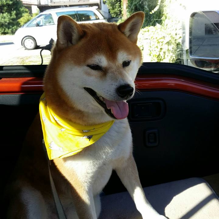 E06c61d9 b81c 41e8 b0cd 902621f0dee0