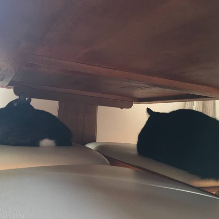 E06c92a1 3652 452f 871d 3108fbcace01