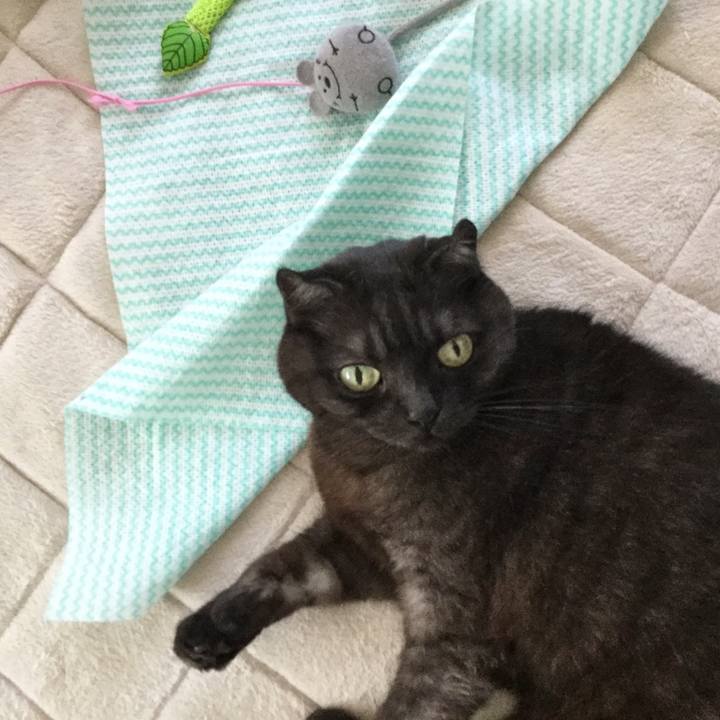 E06d6232 4bb2 4f2a 9d31 76892e7d14d7