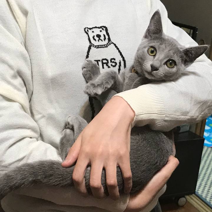 E06d7392 2bb4 4e36 9e06 87ea6db0d9fa