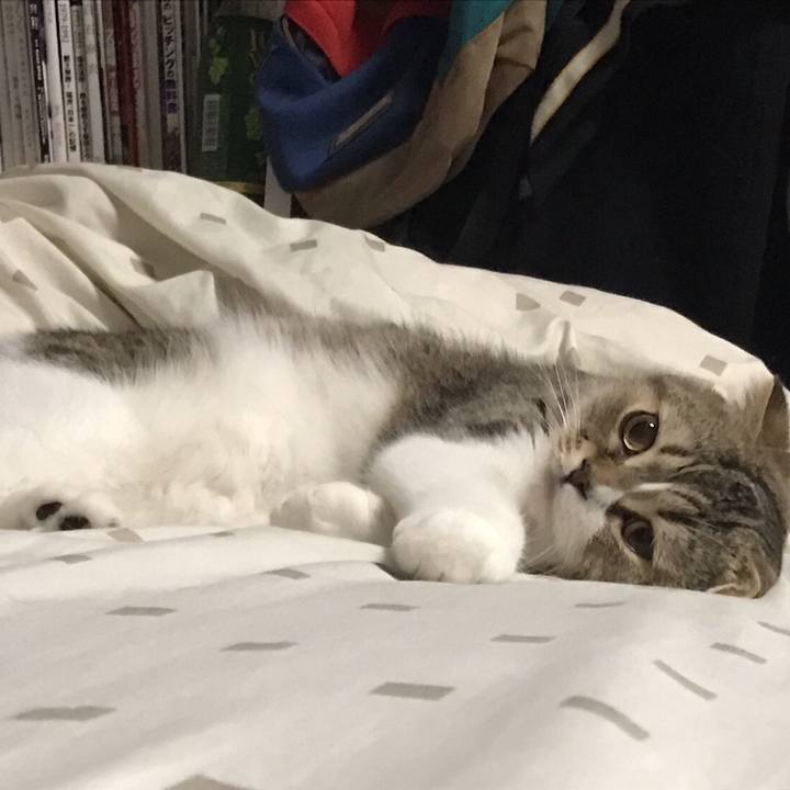 E06d8ae4 eec7 4f29 a519 10c2059c91d5