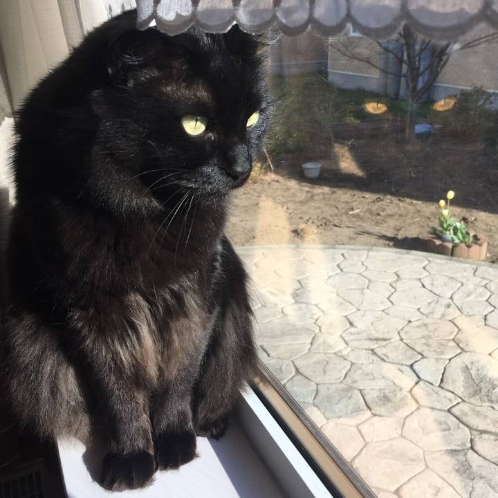 E06e48d7 3ba7 4fa2 8576 02c68978c58d