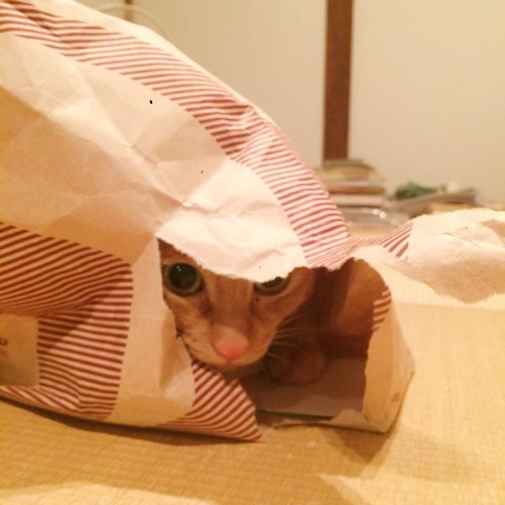 E06f0e54 310e 4365 b315 f0f781da0e47