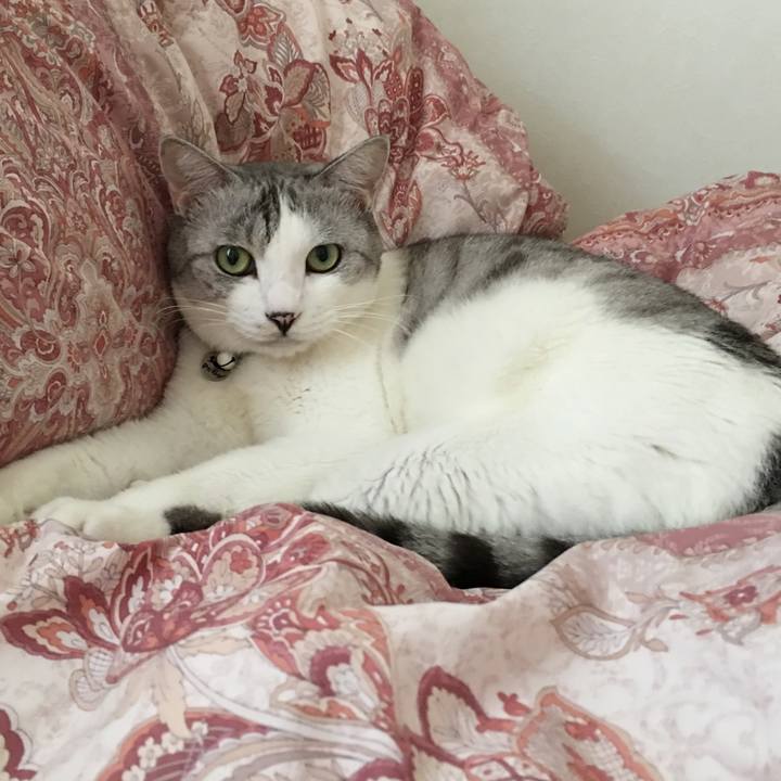 E06f6ed5 4882 457f a386 89ef80212396