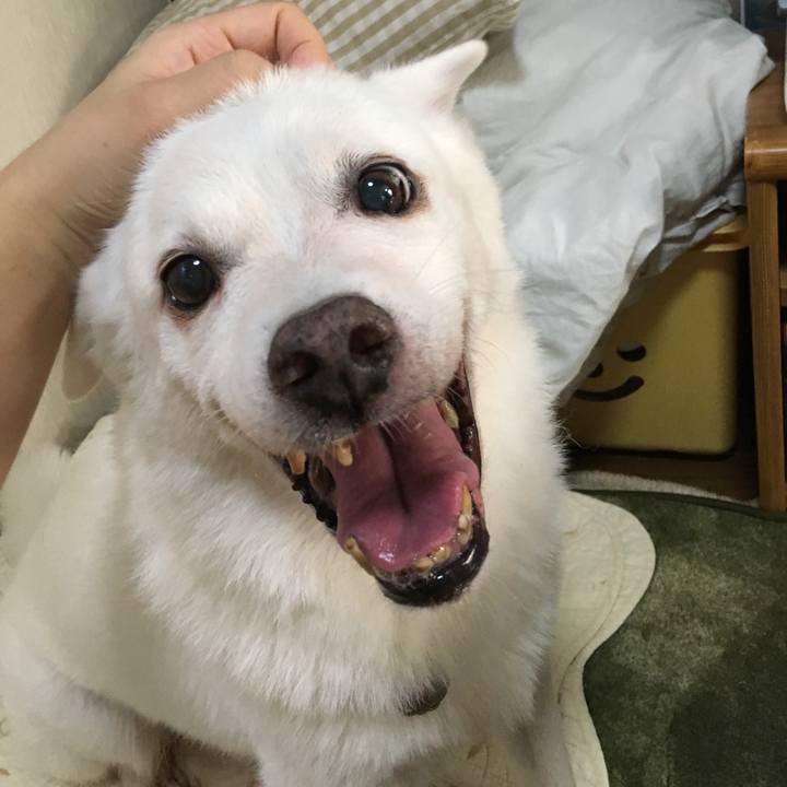 E06fe03b 0975 461a b362 eb1182bf16f3