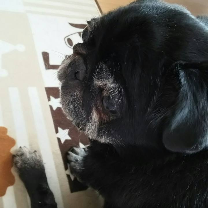 E06fe07b f6d7 491d 83e7 44eab07b1829