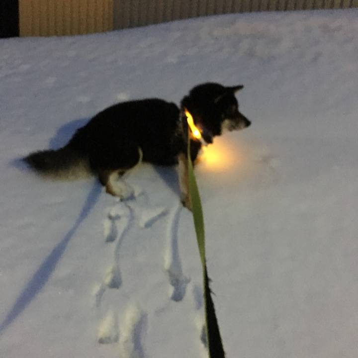 E06fef3f 48c4 4ec5 ada0 0fea5eec24c5