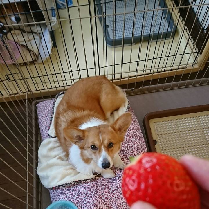 E0704684 abc5 4408 a5a2 e0054af14365