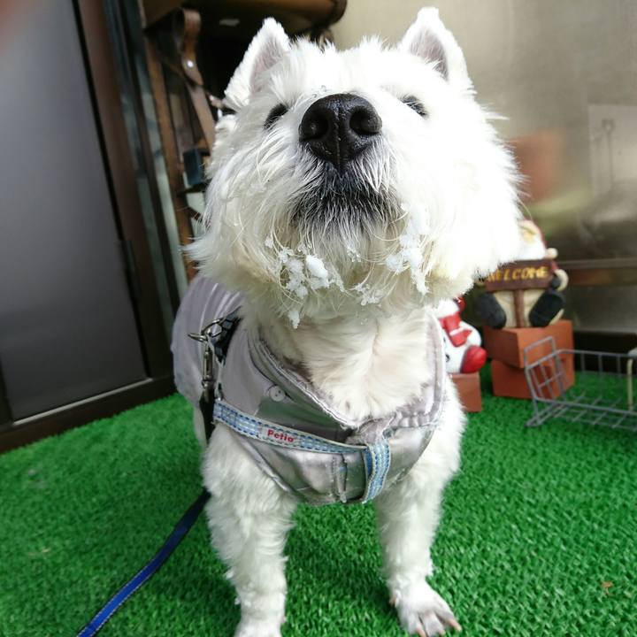 E0709ffe a470 4254 a725 019413448c90